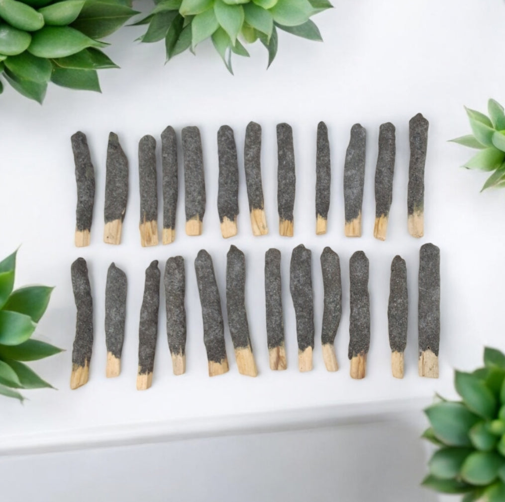 Palo Santo Sticks (Dipped & Rolled)