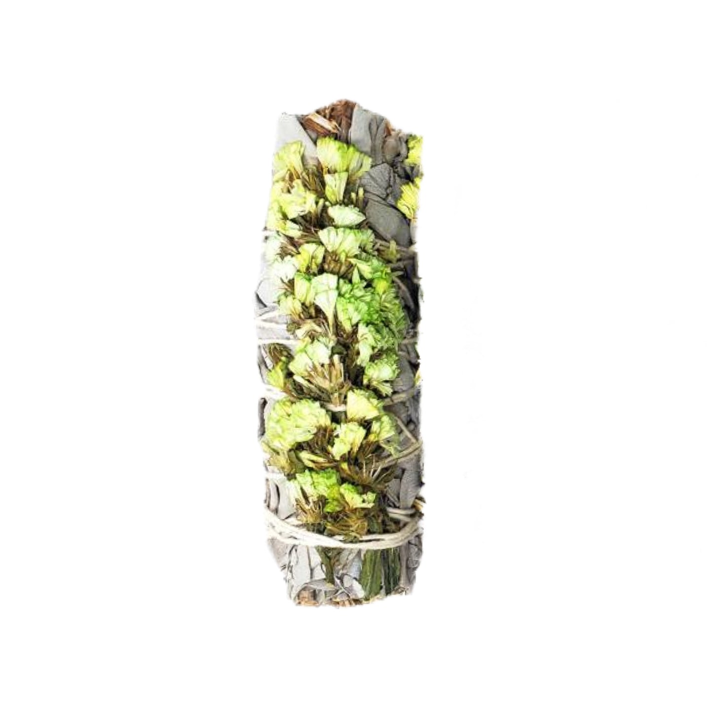 White Sage & Green Sinuata 4" Smudge