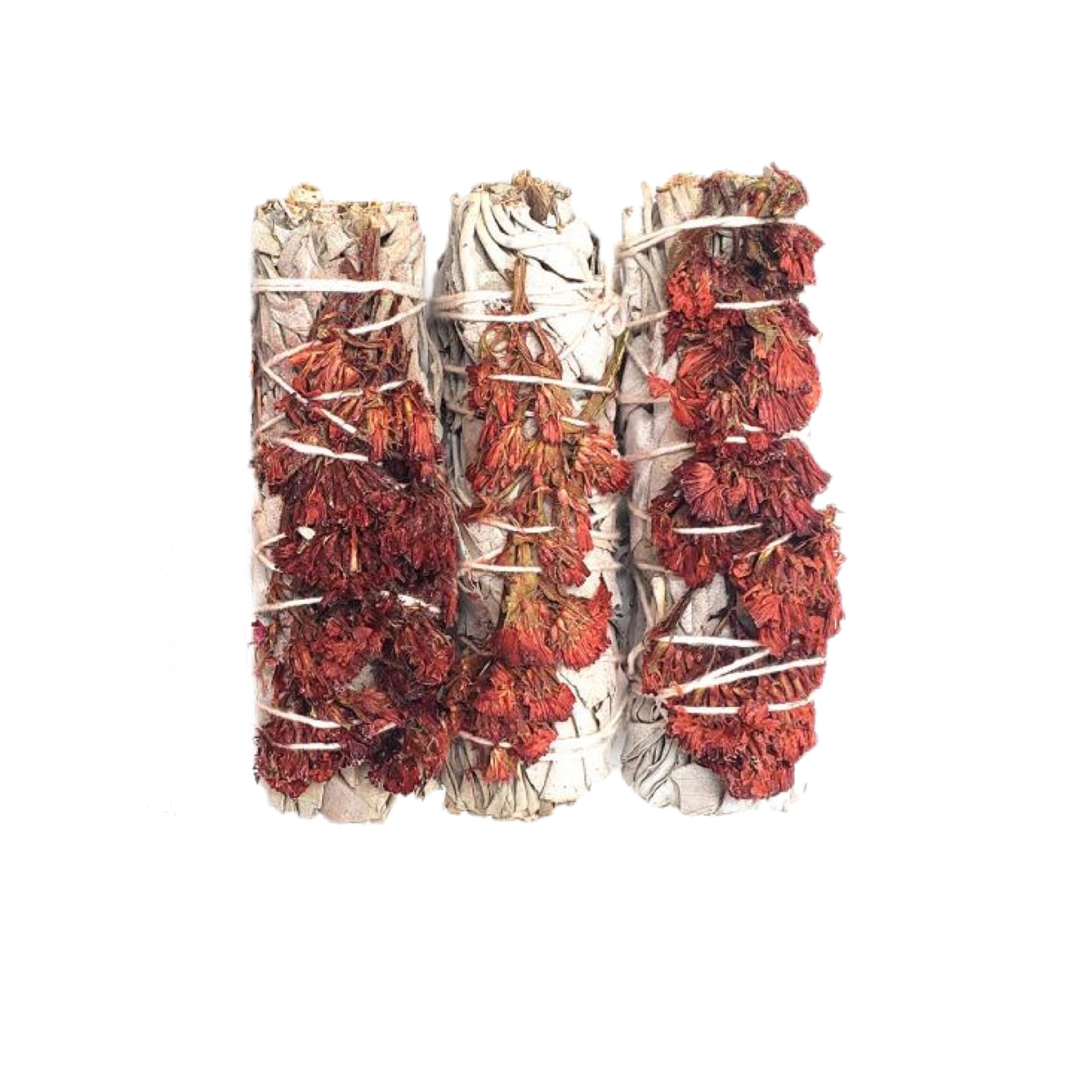 White Sage & Red Sinuata 4" Smudge