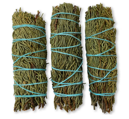 Juniper Leaf Smudge