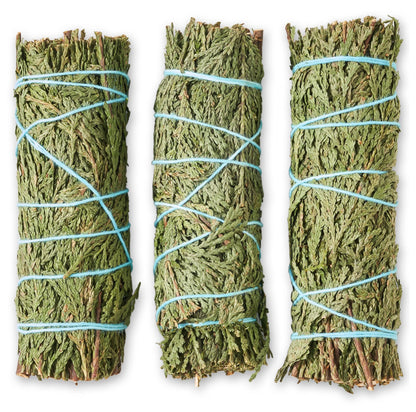 Cedar Leaf Smudge