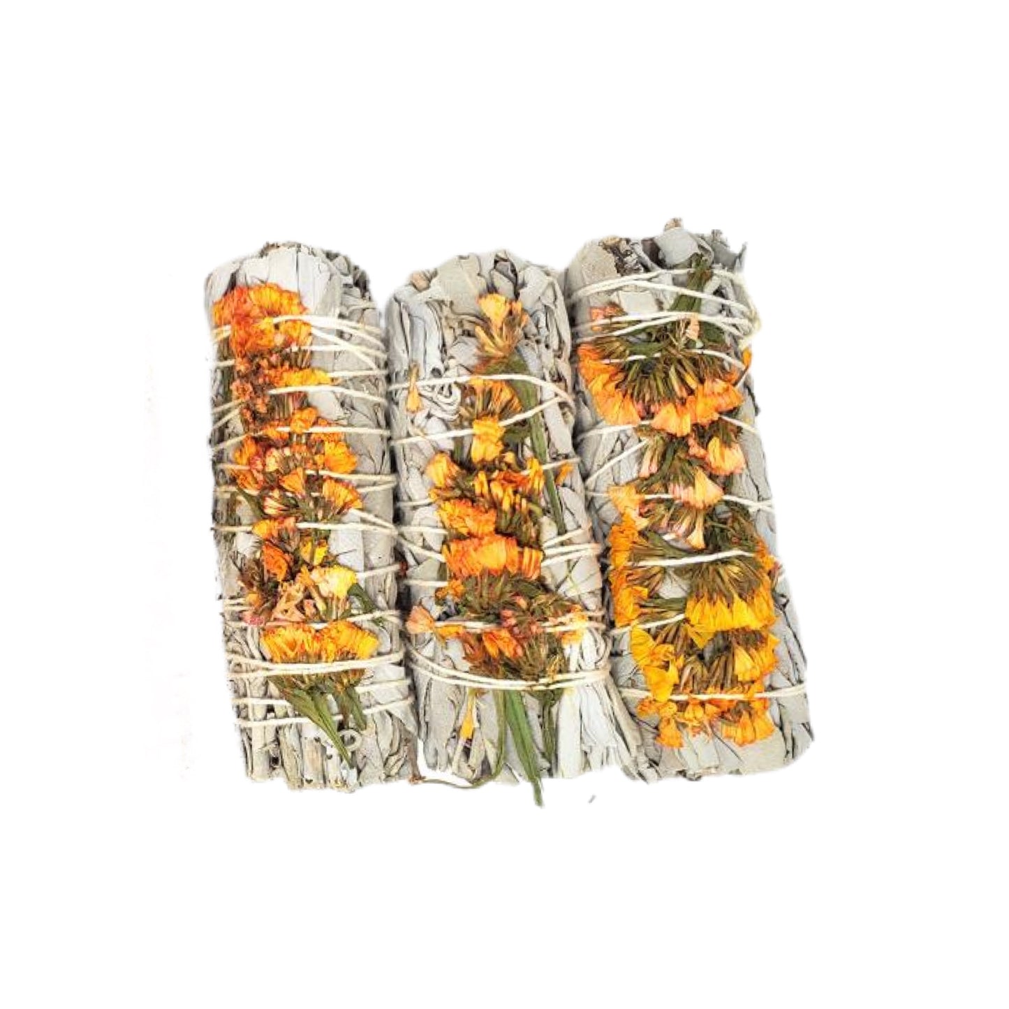 White Sage & Orange Sinuata 4" Smudge