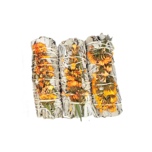 White Sage & Orange Sinuata 4" Smudge