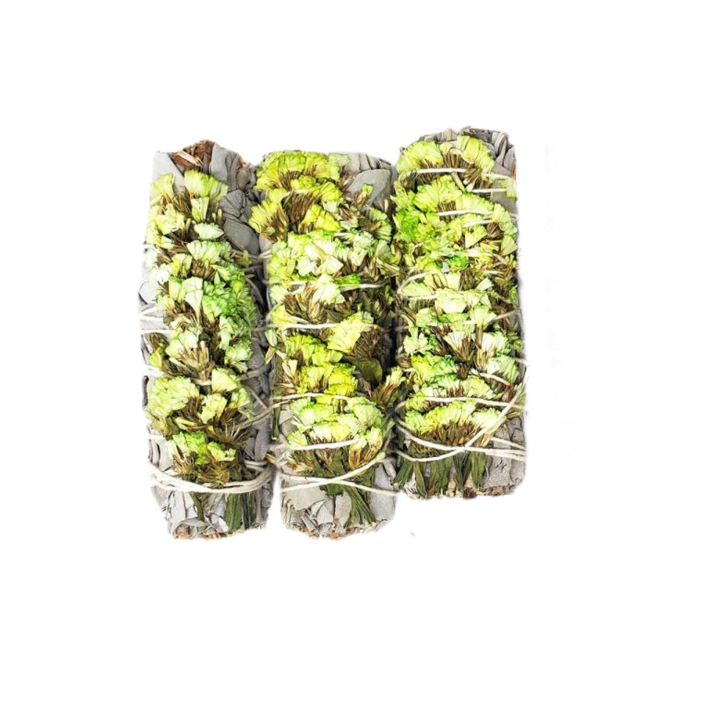 White Sage & Green Sinuata 4" Smudge